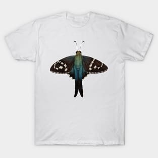 Long-tailed Skipper T-Shirt